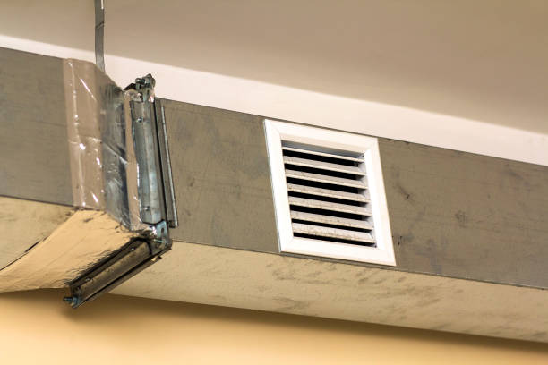 Best Duct Cleaning Specialists  in Quinlan, TX
